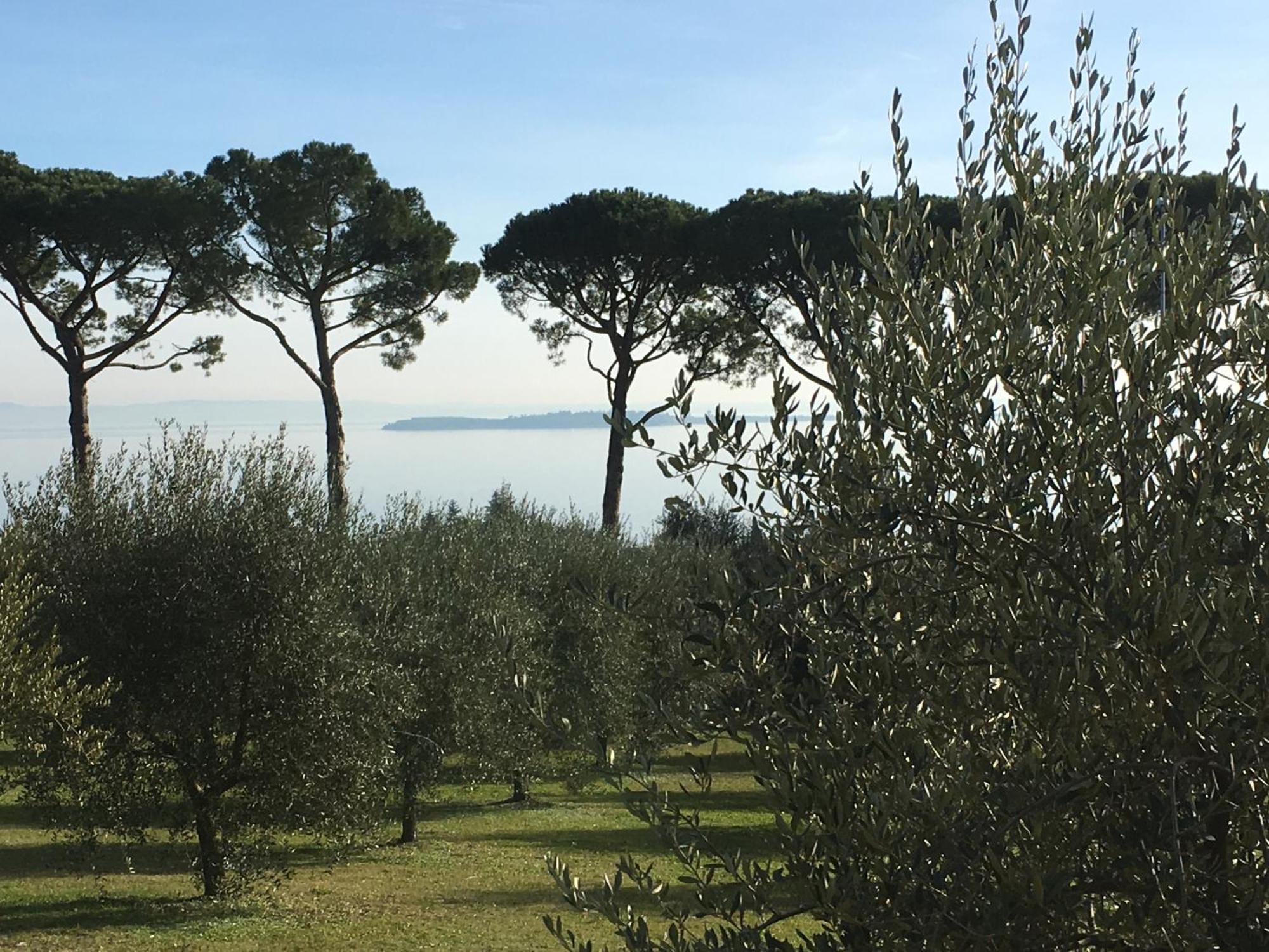 Agriturismo Nonna Bettina Moniga del Garda Εξωτερικό φωτογραφία