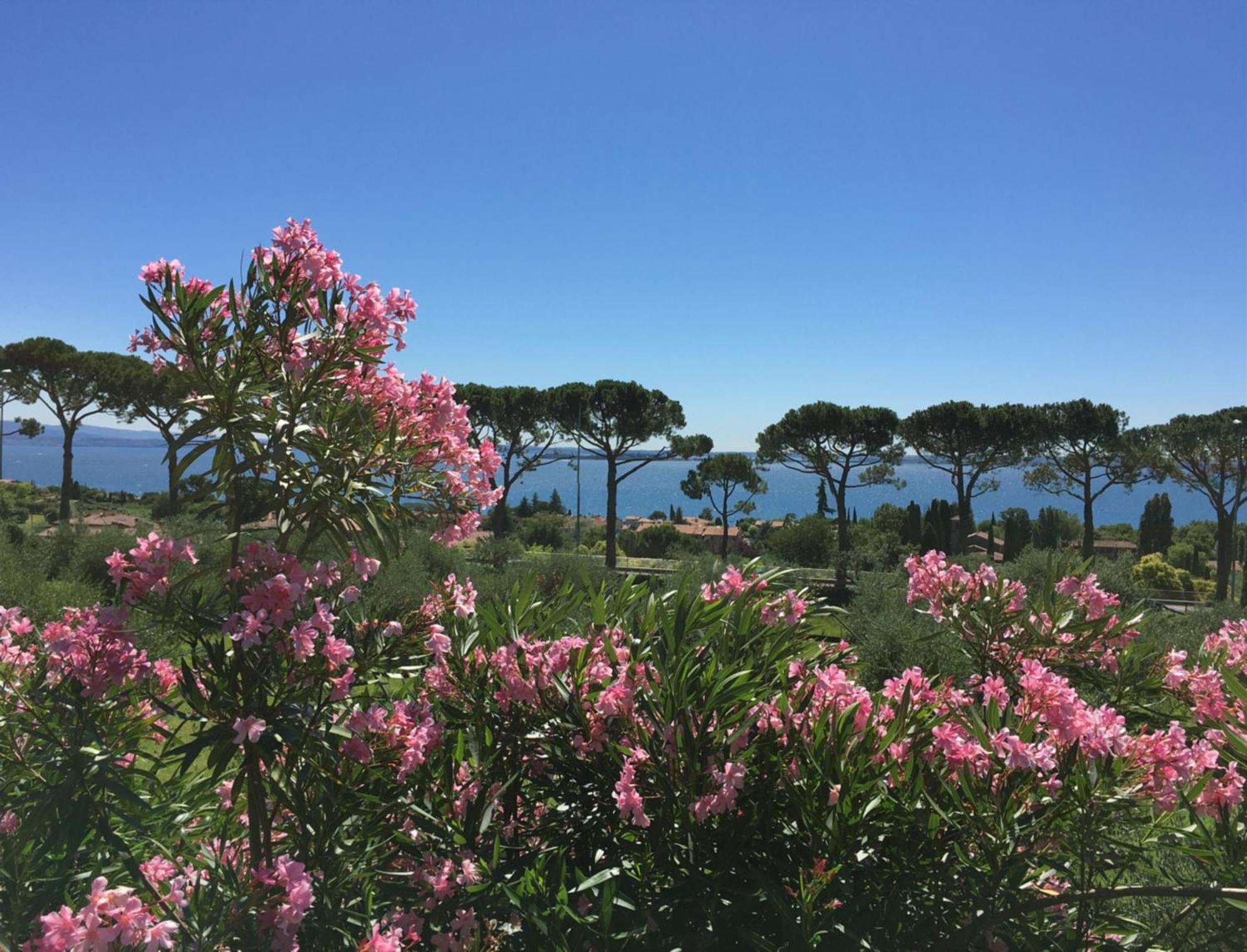 Agriturismo Nonna Bettina Moniga del Garda Εξωτερικό φωτογραφία